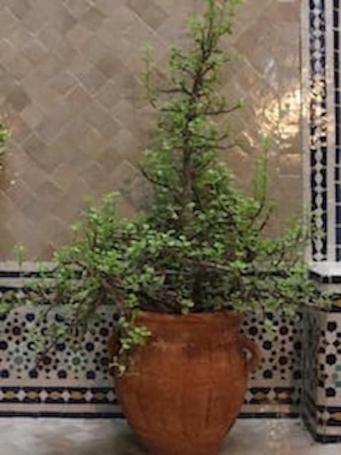 Traditional Moroccan House Тагазут Екстер'єр фото